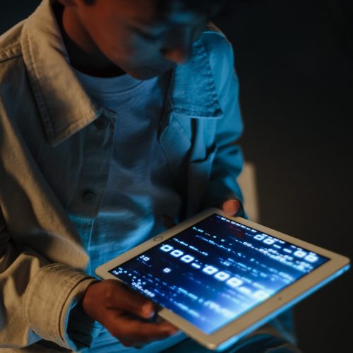 pexels-ron-lach-9783813-scaled